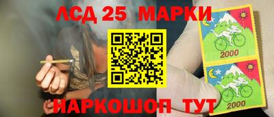 СК Ирбит
