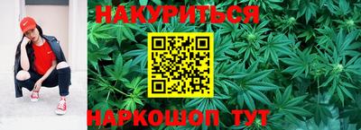 индика Изобильный