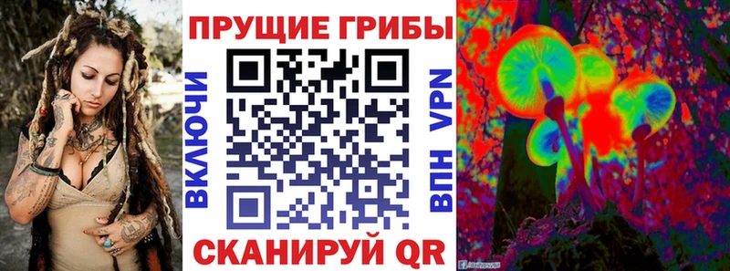 даркнет сайт  Чусовой  Галлюциногенные грибы Cubensis 