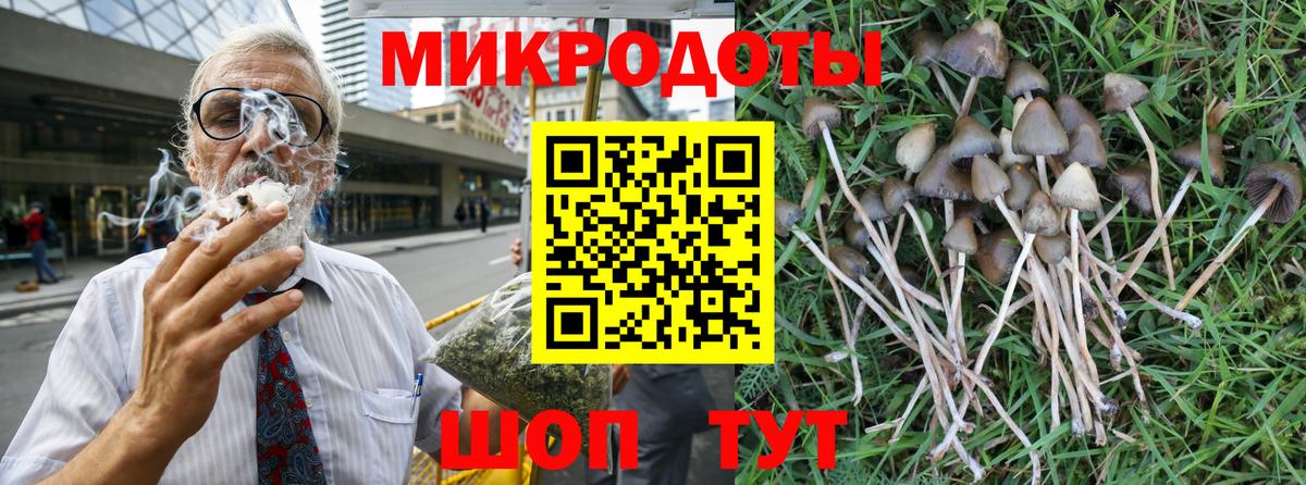 Чусовой  Псилоцибиновые грибы Psilocybine cubensis  Вход с VPN 