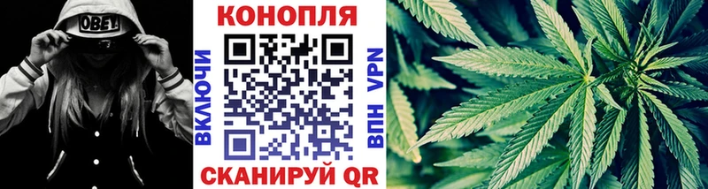 Конопля планчик Чусовой